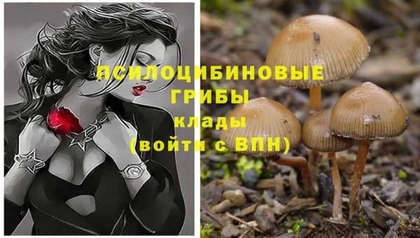 тгк Абдулино